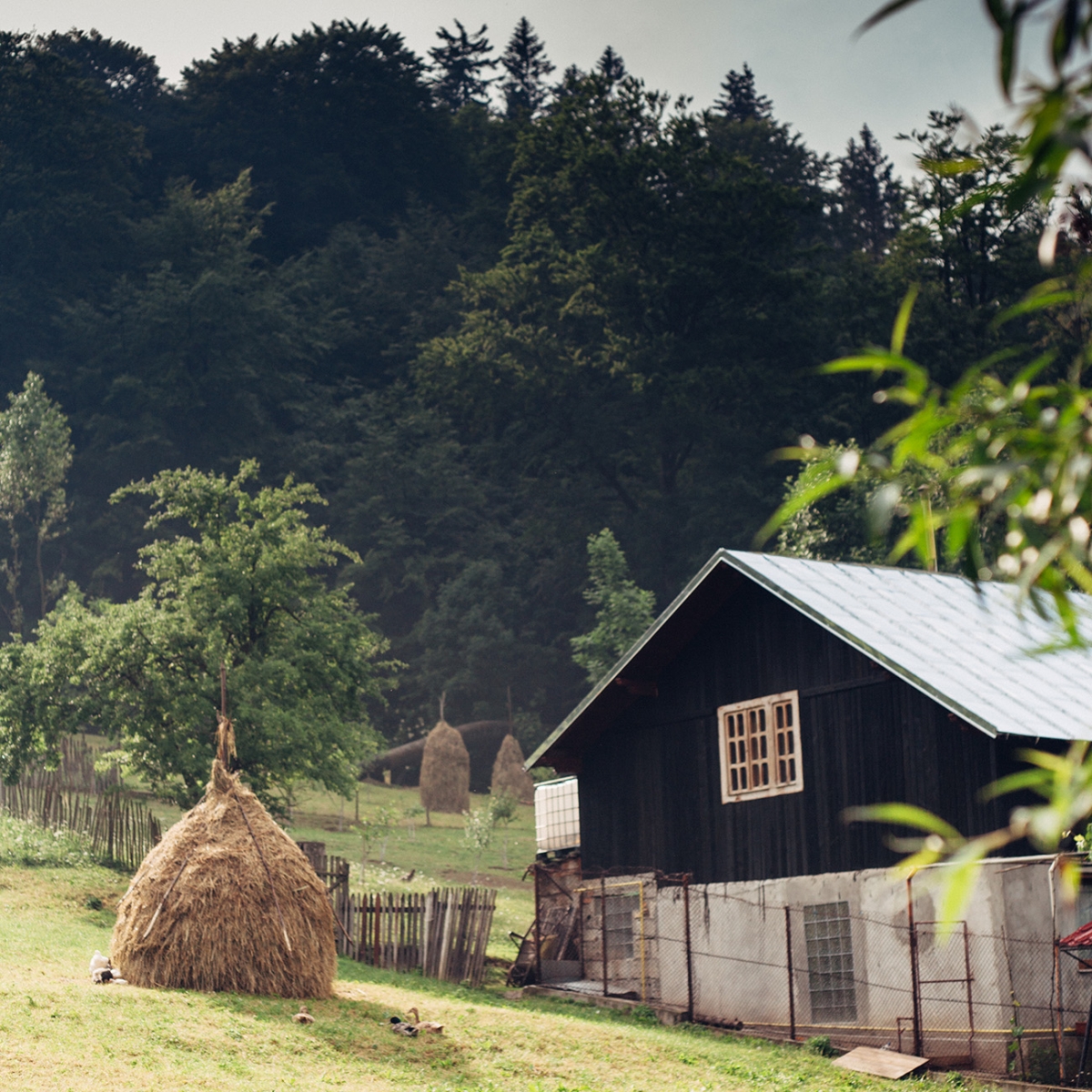 Sinaia Romania Travel Tips from Evergreen Lane Productions